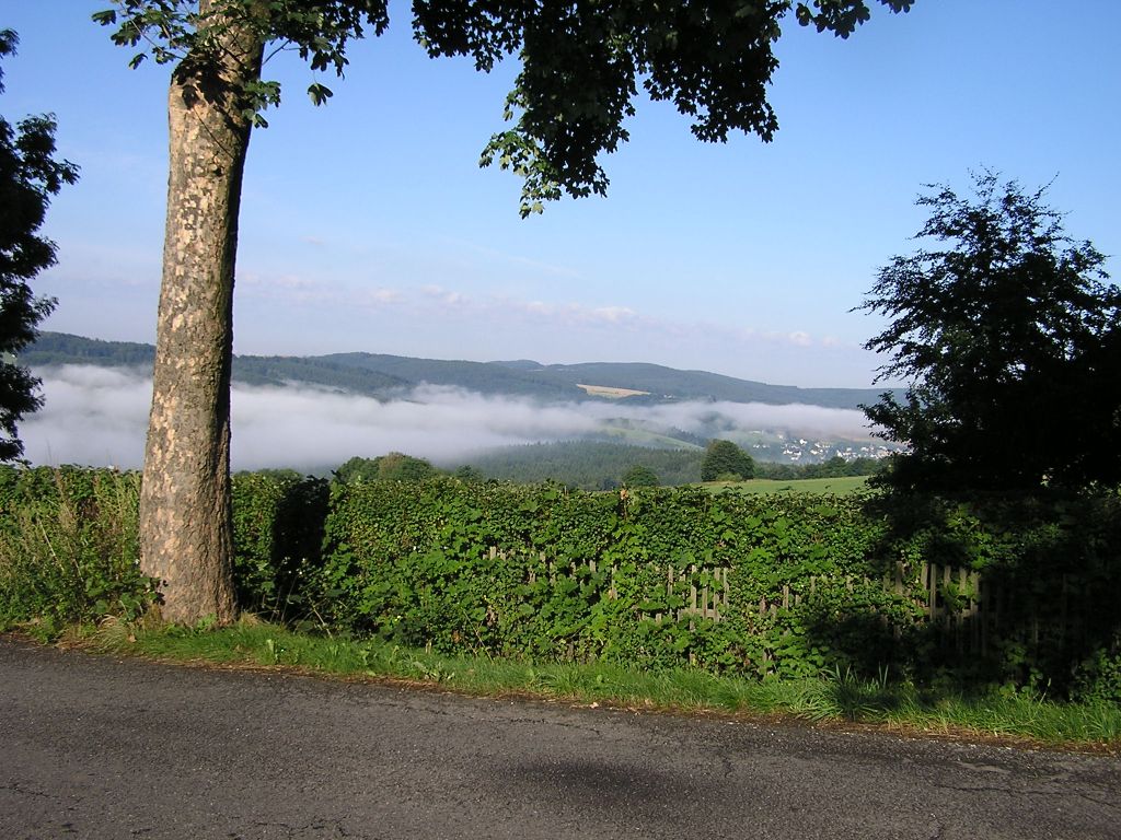 Morgendliche Nebelschwaden im Erzgebirge an einem Tag im August.